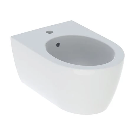 Geberit Bidet Suspendu Blanc Alpin Mat 35,5x30x53 Cm 3 Geberit Bidet Suspendu Blanc Alpin Mat 35,5x30x53 Cm
