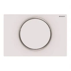 Geberit Plaque WC Sigma10 Blanc Mat Laqué Anneau Poli