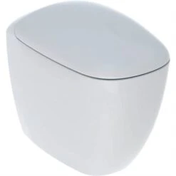 Geberit WC à Poser Citterio Sans Bride 5/6 Litres -Bain Salle Produit Magasin wc sur pied citterio 500823001 carene jusqu au mur 47x56x365 cm 3
