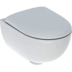 Geberit WC Suspendu Renova Compact 500.803.00.1 490x370x390 Mm Frein De Chute 11 Geberit WC Suspendu Renova Compact 500.803.00.1 490x370x390 Mm Frein De Chute -Bain Salle Produit Magasin wc suspendu renova compact 500803001 avec abattant wc 3